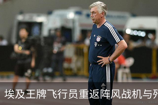 埃及王牌飞行员重返阵风战机与歼-16的深思瞬间